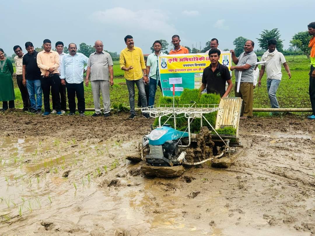 Paddy Bumper Production