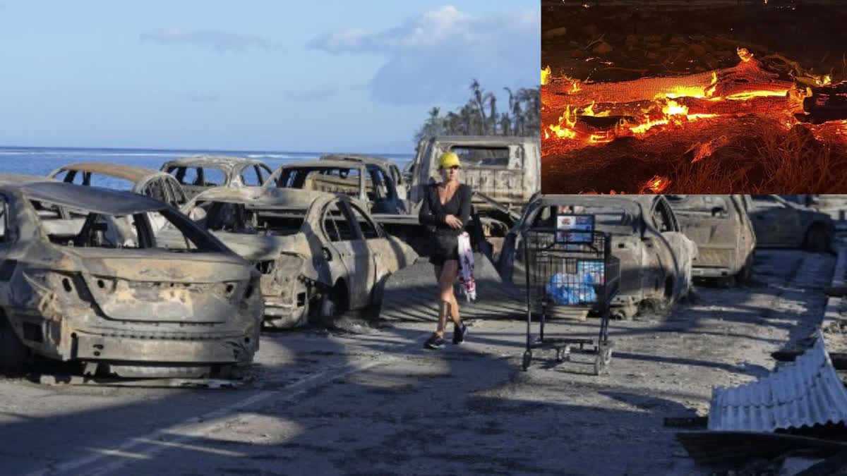 Hawaii wildfires: Death toll rises to 67
