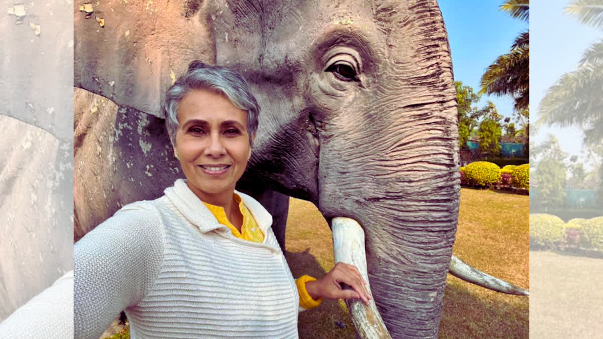 The world observes Elephant Day on August 12 to raise awareness about preservation and protection of the largest land mammals. A top Indo-Canadian conservationist says India has miles to go when it comes to saving their gentle giants. Nearly 1,200 elephants were killed in the last 10 years across India. 245 of them were killed in Odisha in the past three years. The species stares at a grave risk with just 27,000 left in the country at present.