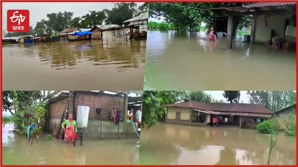 Flood in Assam