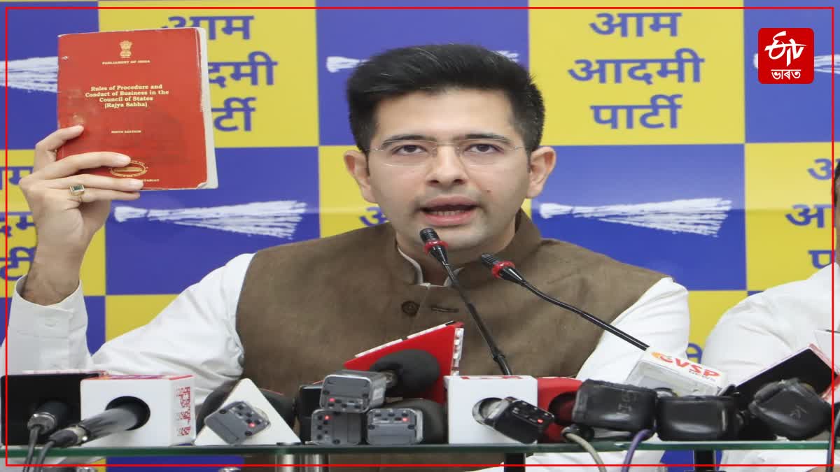 MP Raghav Chadha changes X Bio