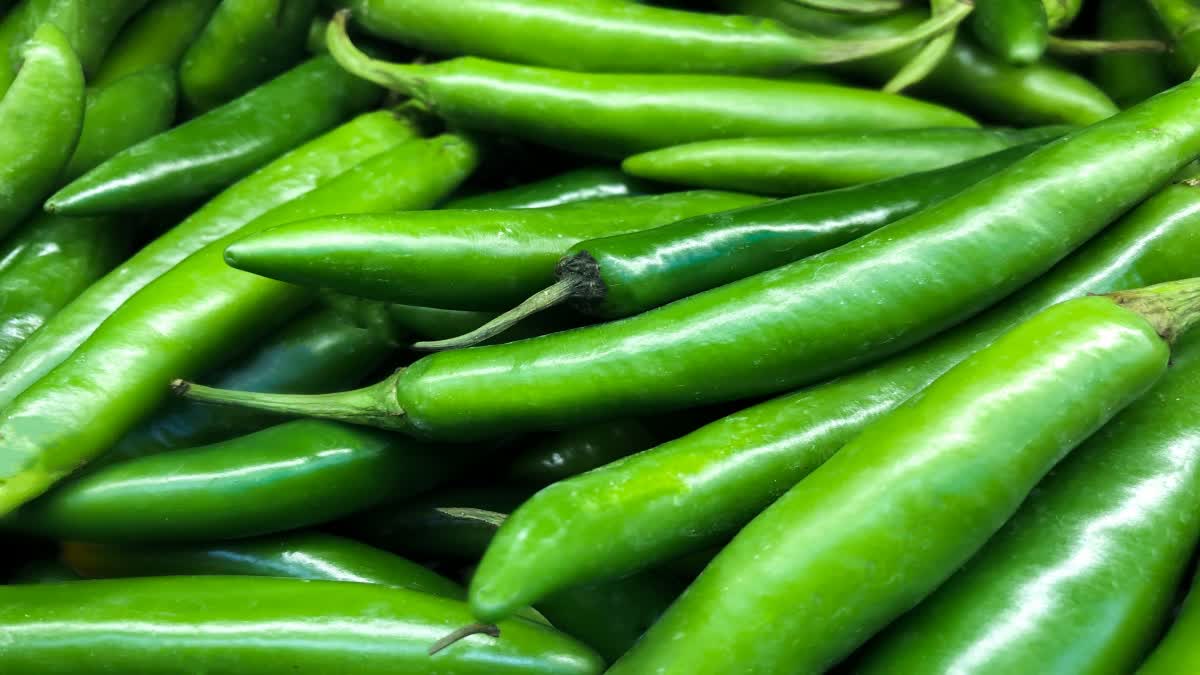 Green Chilli for Health News