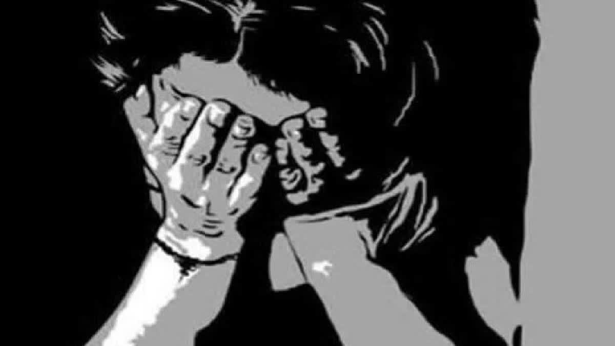 crime: Pregnant raped by her two brothers in Gadchiroli , Maharashtra