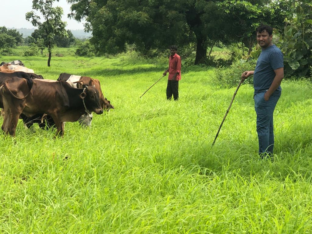 kas-officer-grazed-cattle-during-weekend-leave-in-kalburagi