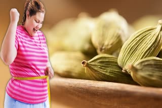 Cardamom for burn fat