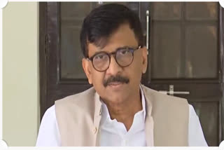 Sanjay Raut On Sedition Law