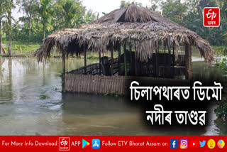 Various areas of flood affected in Dhemaji
