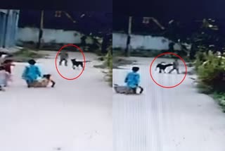 stray-dog-attacked-child-in-tumkur
