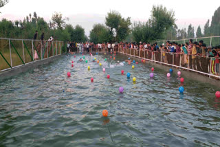 Under azadi ka amrit mahotsav Pulwama admin organises Swimming Competition