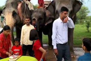 World Elephant Day celebrated by cutting Cak