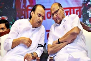 Sharad Pawar at Pune businessmans house  Did Ajit meet Sharad Pawar  Did Ajit meet Sharad Pawar at Pune businessmans  Sharad Pawar at Pune businessmans house report  ശരദ് പവാറുമായി അജിത് പവാർ കൂടിക്കാഴ്‌ച  ശരദ് പവാറുമായി അജിത് പവാർ കൂടിക്കാഴ്‌ച നടത്തി