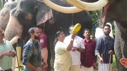 Elephant Day  World Elephant Day Celebration in Kerala  World Elephant Day Celebration  Elephant  Animal Husbandry department  Veterinary Association  ഊട്ടും നീരാട്ടുമായി കരിവീരന്‍മാര്‍ക്ക് ഒരു ദിവസം  കരിവീരന്‍മാര്‍  ലോക ഗജ ദിനം  വെറ്ററിനറി  മൃഗസംരക്ഷണ വകുപ്പ്  ചിഞ്ചു റാണി  ആന