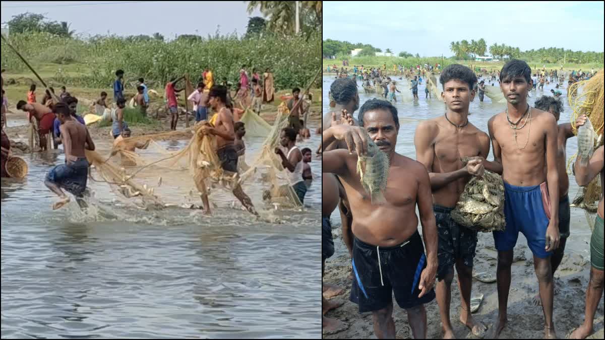 மீன்பிடி திருவிழா