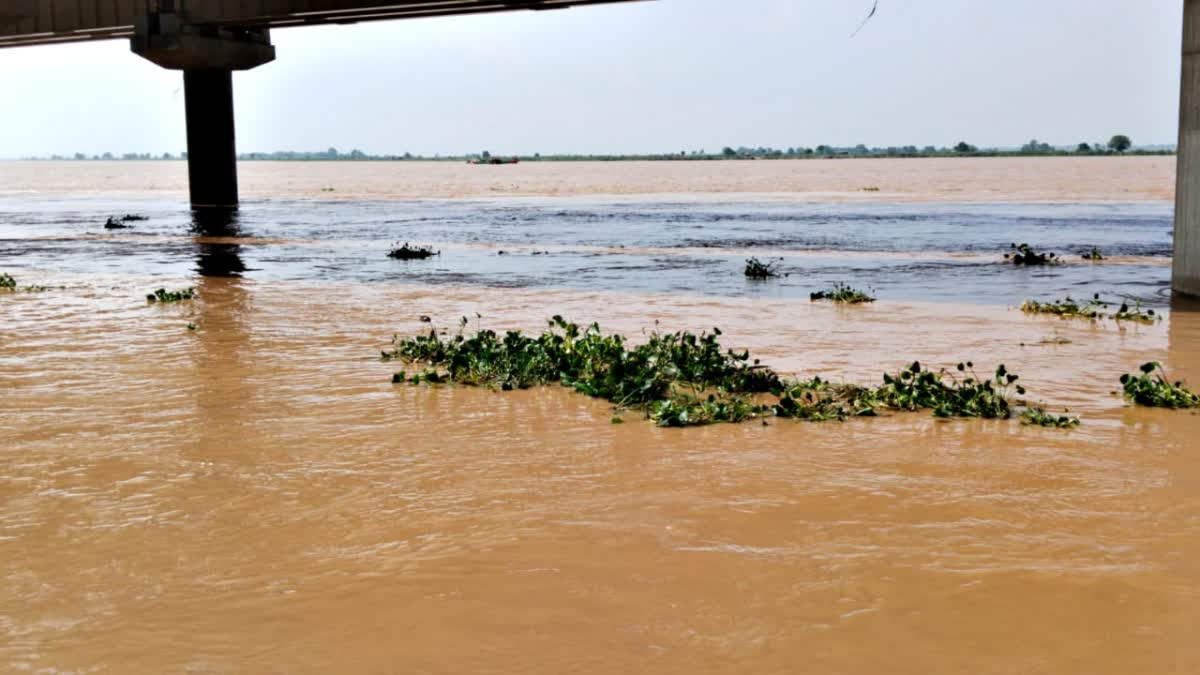 Bihar Rivers Water Level