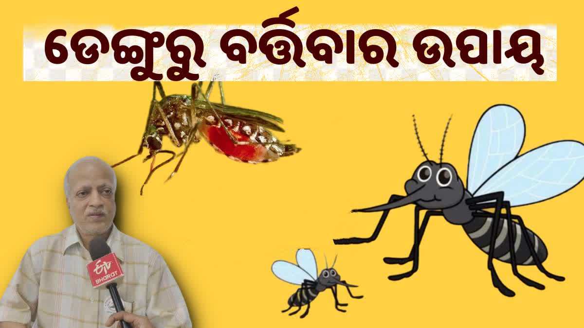 ଡେଙ୍ଗୁ ରୋଗ ଲକ୍ଷଣ ଓ ଚିକିତ୍ସା