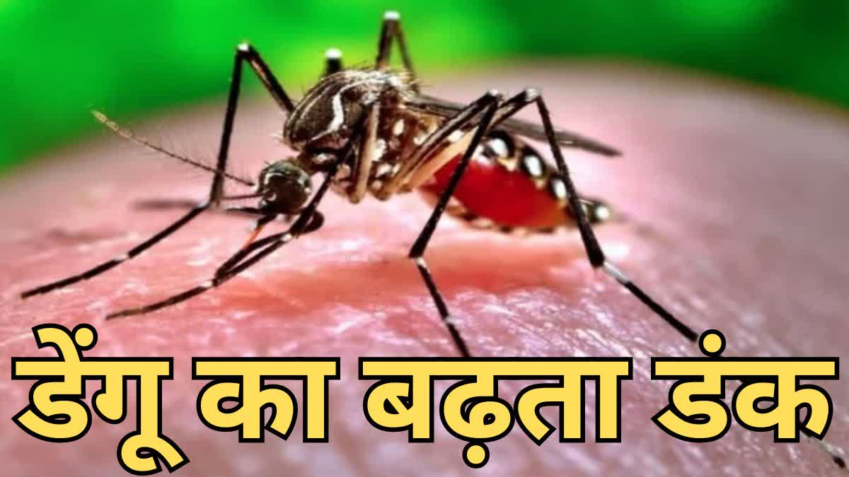 Dengue is dangerous