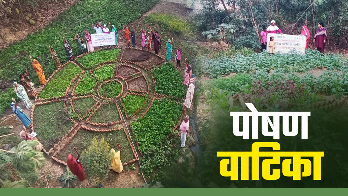 SHAHDOL NUTRITION GARDEN