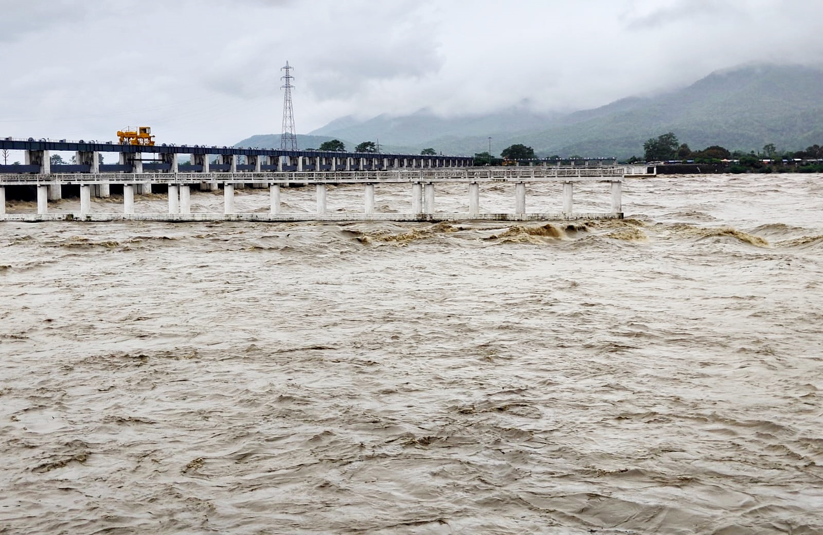 Bihar Rivers Water Level