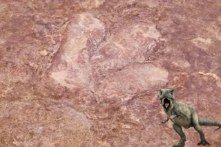 dinosaur footprints in China's Gansu Province