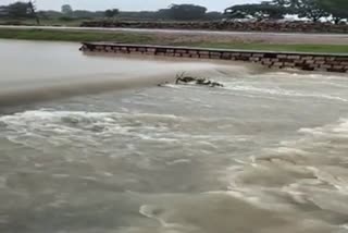 shivpuri heavy rain