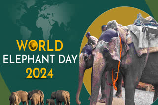 Elephant Day