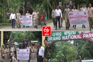 Procession on World Elephant Day