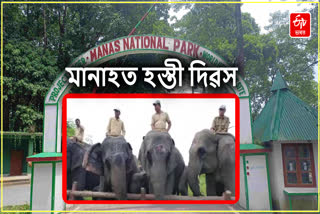 World Elephant day observed in Manas National Park