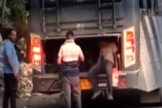 Passengers loaded into bus trunk