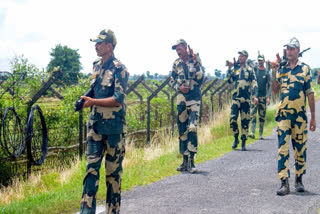 Bangladeshi Smuggler Killed In BSF Firing