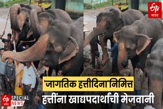 Elephant Day celebration Amravati