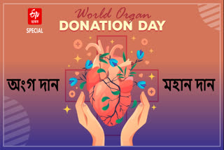 World Organ Donation Day