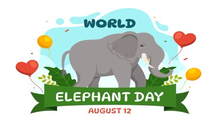 World Elephant Day