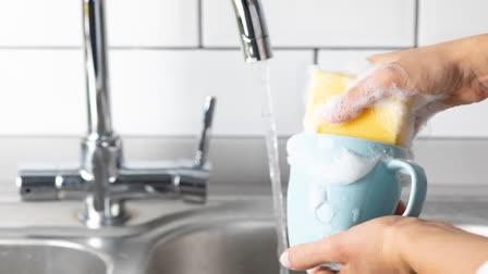 Kitchen sponges are toxic to humans