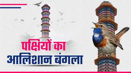 Ujjain BIRDs TOWERS