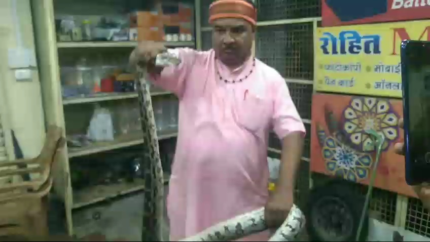 Python inside shop shutter