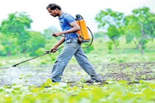 Be careful with while spraying pesticides