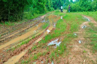 Villagers facing problems due to lack of road in Churgi Amtali village in Khunti