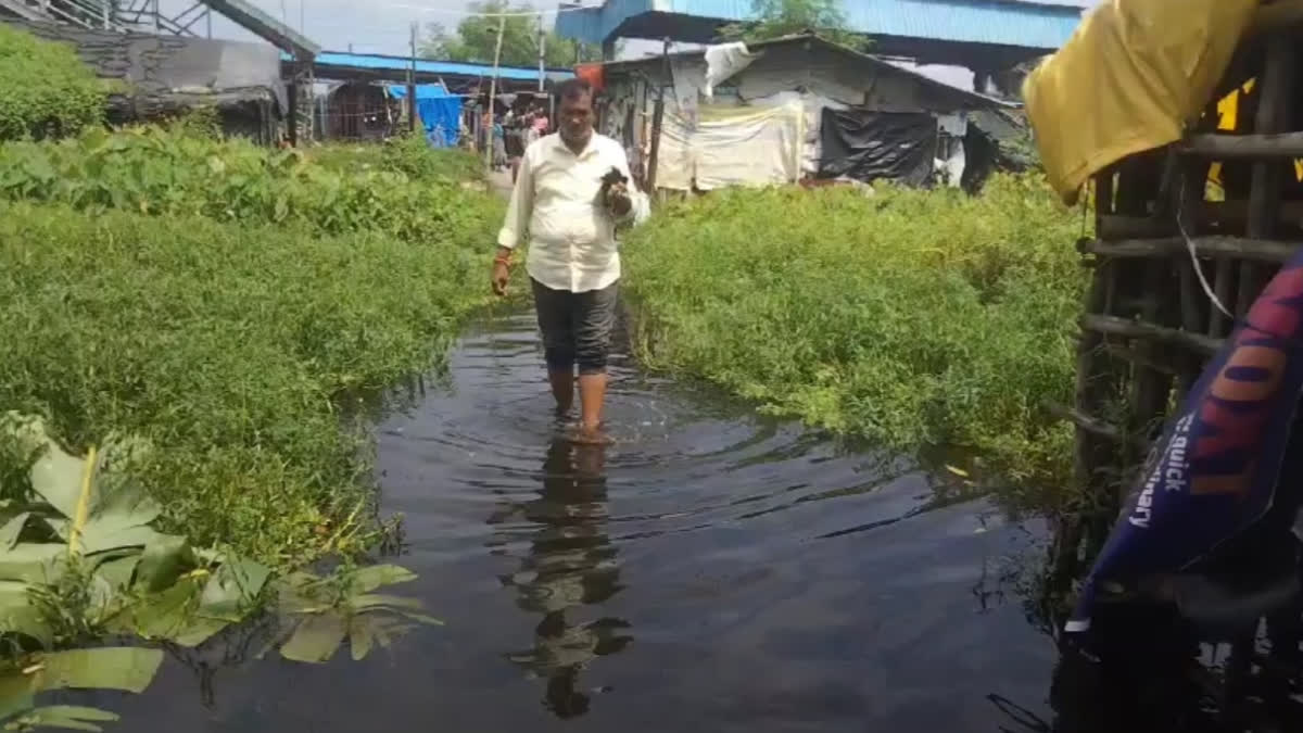 Mandirbazar Waterlogging ETV BHARAT