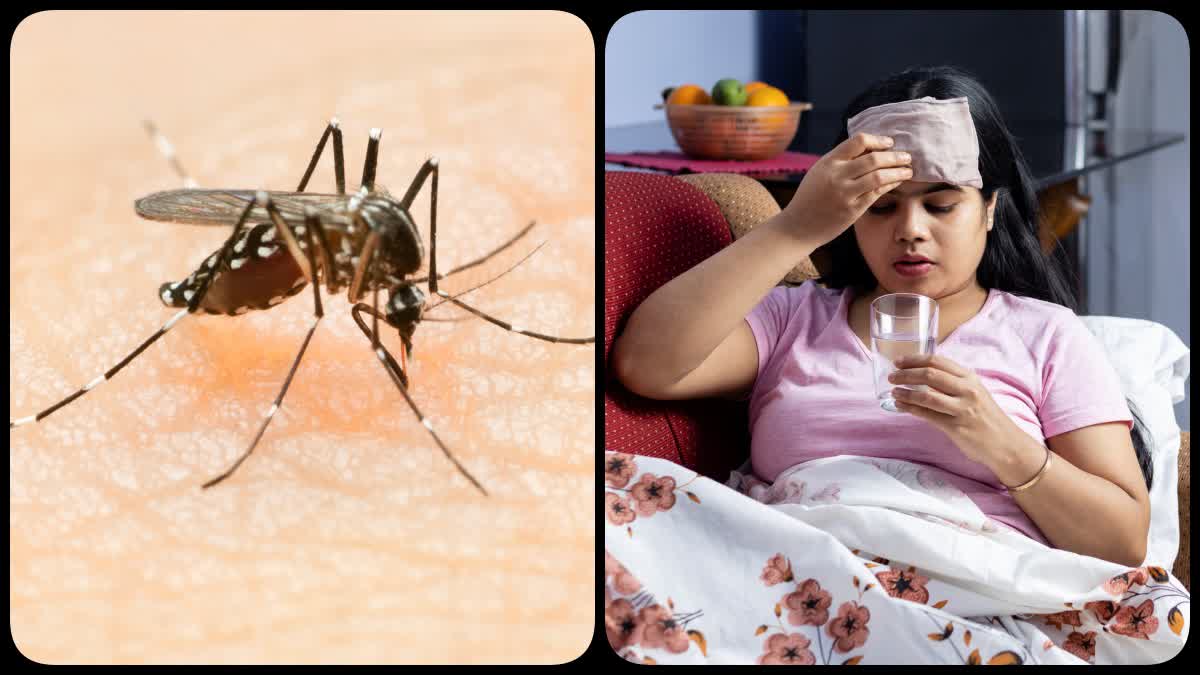 Dengue Treatment