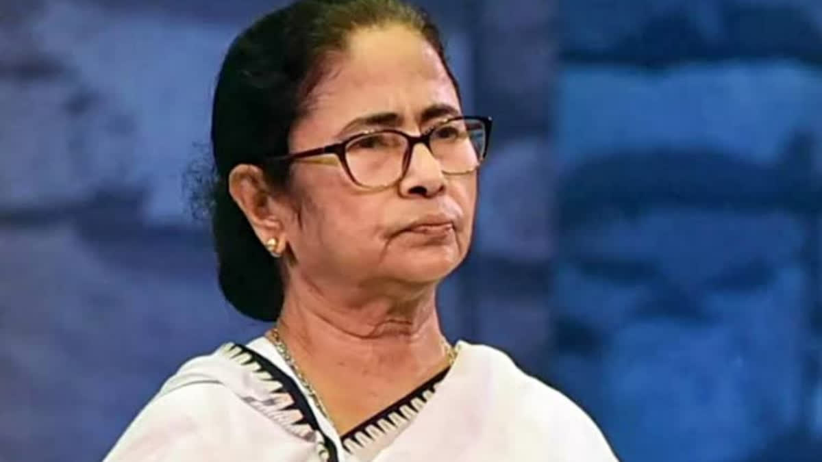 Mamata's Dubai Flight Delayed