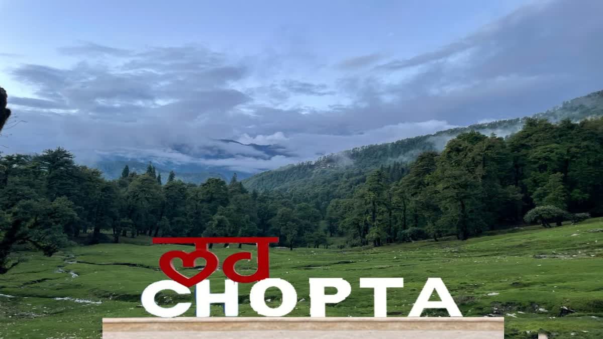 Chopta Eco Tourism Zone