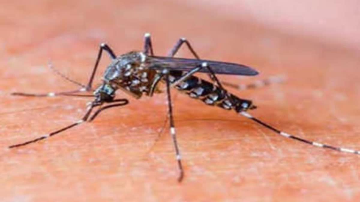 Dengue cases surge : સપ્ટેમ્બર મહિનામાં ડેન્ગ્યુ કેસમાં ઉછાળો, 10 દિવસમાં અમદાવાદમાં 218 કેસ, કોર્પોરેશન તંત્ર સુસ્ત