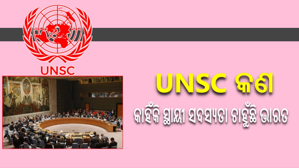 UNSC କଣ?  କାହିଁକି ଭାରତର  ସ୍ଥାୟୀ ସଦସ୍ୟତାକୁ ବିରୋଧ କରୁଛି ଚୀନ?