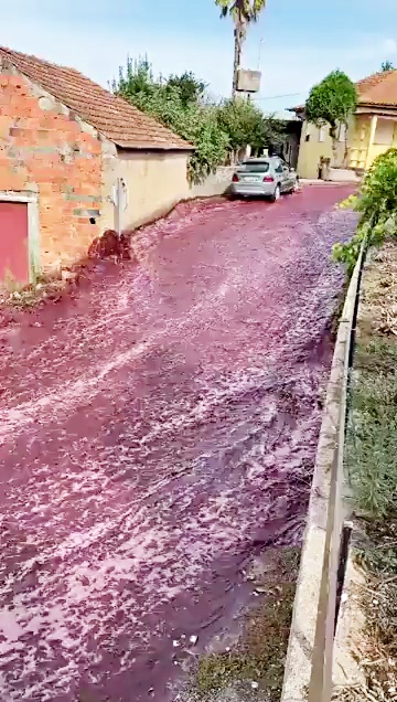 River of Red wine flooded in Portugal