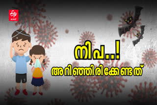 Nipah Virus Prevention Symptoms Treatments  Nipah Virus Prevention  Nipah Virus  Nipah  Nipah Symptoms  Nipah Treatments  Nipah Prevention  Symptoms Treatments of nipah  nipah kozhikode  kozhikode nipah case  kozhikode  എന്താണ് നിപ  നിപ  നിപ വൈറസ്  നിപ വൈറസ് പ്രതിരോധ മാർഗങ്ങൾ  നിപ മുൻകരുതലുകൾ  നിപ രോഗലക്ഷണങ്ങൾ  നിപ ലക്ഷണങ്ങൾ  നിപ മുൻകരുതൽ  നിപ ചികിത്സ  കോഴിക്കോട് നിപ  നിപ സംശയം കോഴിക്കോട്  നിപ കോഴിക്കോട്