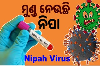 Nipah Virus