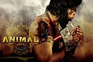 Bollywood Film Animal