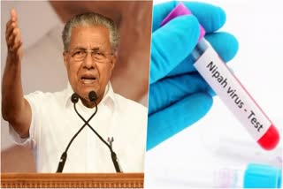 CM on Nipah Virus Doubt  Nipah Virus  Nipah Virus Doubt  CM Pinarayi Vijayan  Pinarayi Vijayan  Chief Minister  Health Department  Nipah  നിപ്പ ഭീതിയില്‍ പ്രതികരിച്ച് മുഖ്യമന്ത്രി  നിപ്പ ഭീതിയില്‍ പ്രതികരിച്ച് മുഖ്യമന്ത്രി  നിപ്പ  മുഖ്യമന്ത്രി  ആശങ്ക വേണ്ട  പ്രതിരോധ പ്രവർത്തനങ്ങളുമായി  എല്ലാവരും സഹകരിക്കണം  പരിചരണം  പിണറായി വിജയൻ  പനിമരണം  ആരോഗ്യ വകുപ്പ്