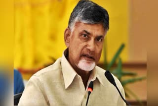 TDP Head Chandrababu Naidu