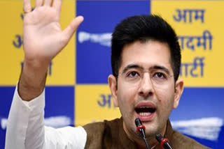 Raghav Chadha condemns Stalin's remark, but says DMK leader's statement does not reflect INDIA stand